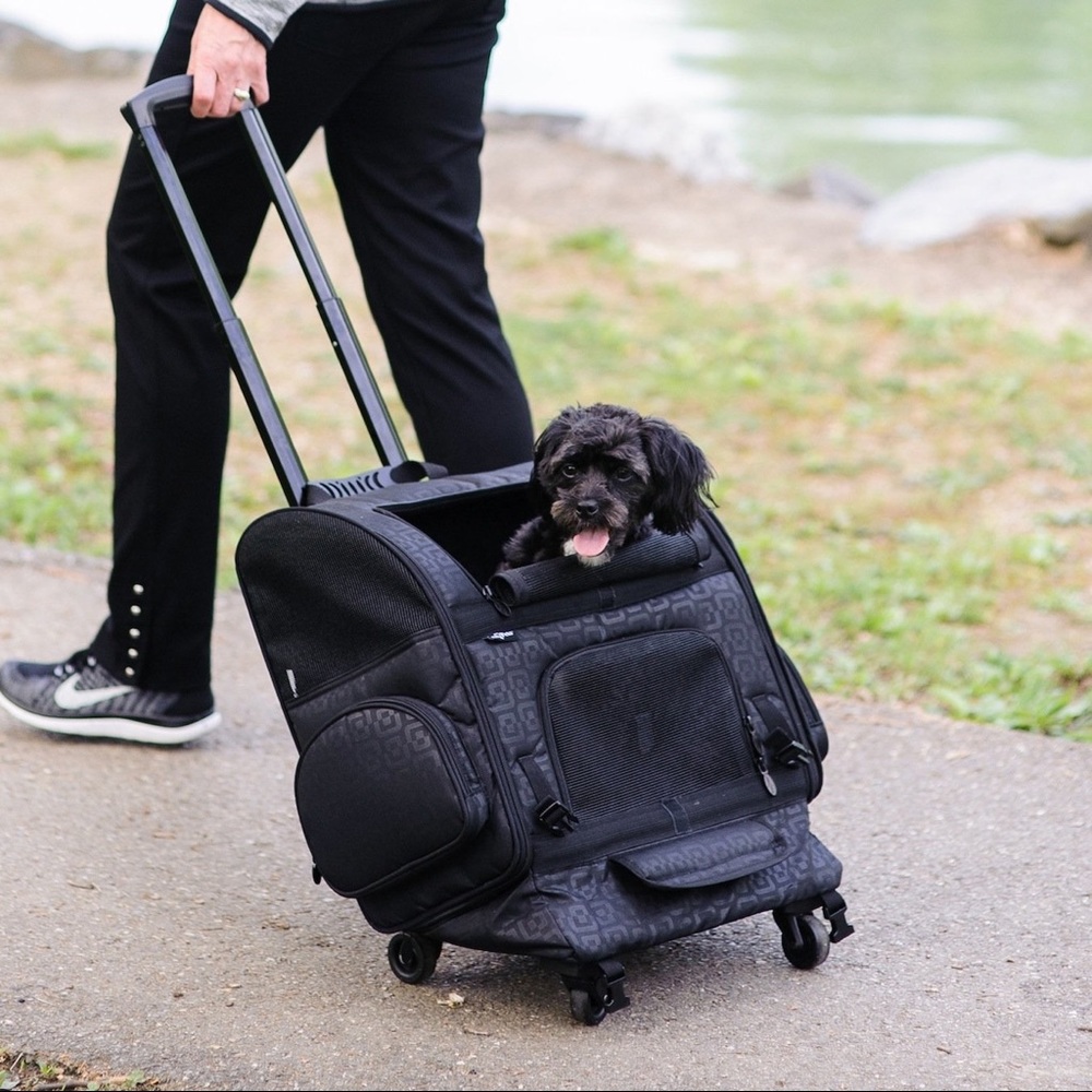 Gen7 Roller-Carrier-Backpack for Pets up to 10 lbs.